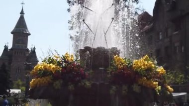 TIMISOARA, ROMANIA - 19 Nisan 2019: Zafer Meydanı, TIMFLORALIS uluslararası çiçek festivalinde çiçeklerle süslenmiş güzel bir çeşme. Yavaş çekim görüntüleri