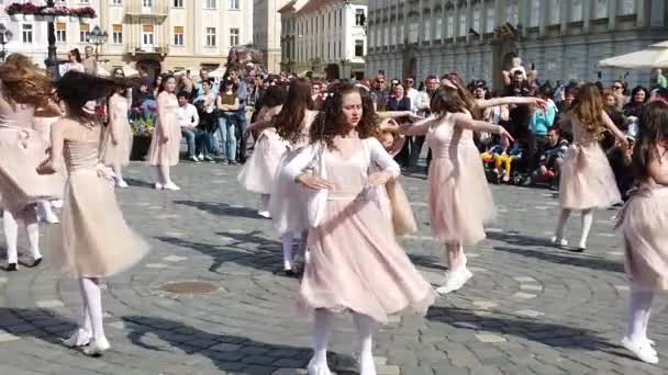 Timisoara Romania Nisan 2019 Union Square Timfloralis Uluslararası Çiçek Festivali — Stok video