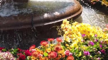 Timisoara, Romanya: TIMFLORALIS uluslararası çiçek festivali. Çiçek süslemeli bir kasık çeşmesinin ayrıntıları