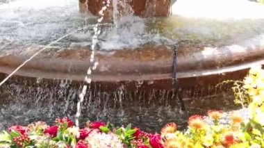 Timisoara, Romanya: TIMFLORALIS uluslararası çiçek festivali. Çiçek süslemeli bir kasık çeşmesinin ayrıntıları