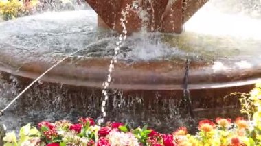 Timisoara, Romanya: TIMFLORALIS uluslararası çiçek festivali. Çiçek süslemeli bir kasık çeşmesinin ayrıntıları