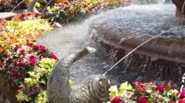 Timisoara, Romanya: TIMFLORALIS uluslararası çiçek festivali. Çiçek süslemeli bir kasık çeşmesinin ayrıntıları