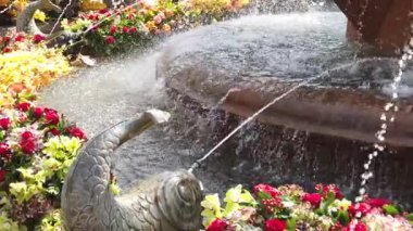 Timisoara, Romanya: TIMFLORALIS uluslararası çiçek festivali. Çiçek süslemeli bir kasık çeşmesinin ayrıntıları