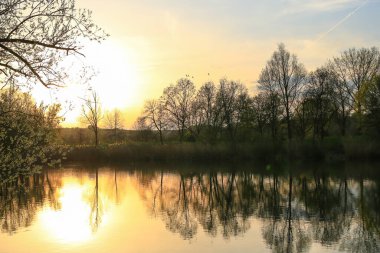 Regensburg, Almanya: Akşam manzarasında uçan ördekler