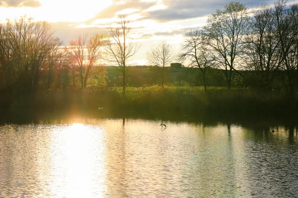 Regensburg Germany Flying Ducks Evening Landscape — Stock Photo, Image