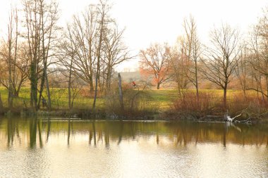 Regensburg, Almanya: İnsanlar gün batımında Regensburg, Almanya ve Avrupa 'da Tuna Nehri boyunca kırsal bir yolda bisiklete biniyorlar.
