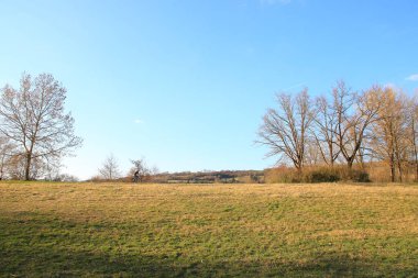 Regensburg, Almanya - 27 Mart 2022: İnsanlar gün batımında Tuna nehri boyunca, Almanya, Regensburg, Avrupa 'da kırsal bir yolda bisiklete biniyorlar..