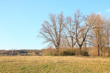 Regensburg, Almanya - 27 Mart 2022: İnsanlar gün batımında Tuna nehri boyunca, Almanya, Regensburg, Avrupa 'da kırsal bir yolda bisiklete biniyorlar..