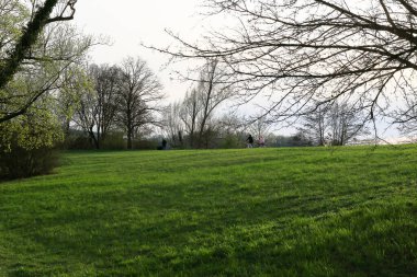 Regensburg, Almanya: Regensburg, Almanya ve Avrupa 'da Tuna Nehri boyunca gün batımında kırsal bir yolda bisiklet süren insanların silueti.