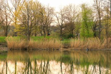 Regensburg, Almanya: İnsanlar gün batımında Regensburg, Almanya ve Avrupa 'da Tuna Nehri boyunca kırsal bir yolda bisiklete biniyorlar.