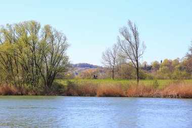 Regensburg, Almanya: İnsanlar gün batımında Regensburg, Almanya ve Avrupa 'da Tuna Nehri boyunca kırsal bir yolda bisiklete biniyorlar.