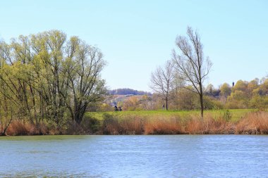 Regensburg, Almanya: İnsanlar gün batımında Regensburg, Almanya ve Avrupa 'da Tuna Nehri boyunca kırsal bir yolda bisiklete biniyorlar.