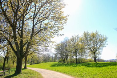 Regensburg, Almanya: İnsanlar gün batımında Regensburg, Almanya ve Avrupa 'da Tuna Nehri boyunca kırsal bir yolda bisiklete biniyorlar.