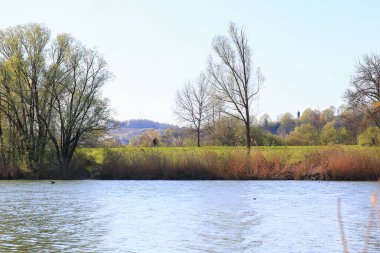 Regensburg, Almanya: İnsanlar gün batımında Regensburg, Almanya ve Avrupa 'da Tuna Nehri boyunca kırsal bir yolda bisiklete biniyorlar.