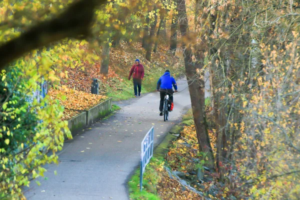 Regensburg Duitsland November 2021 Mensen Fietsen Een Landelijke Weg Bij — Stockfoto