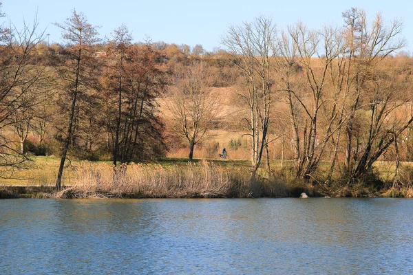 Regensburg Γερμανία Άνθρωποι Οδηγούν Ποδήλατο Ένα Αγροτικό Δρόμο Στο Ηλιοβασίλεμα — Φωτογραφία Αρχείου