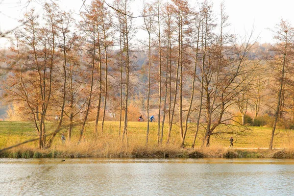 Regensburg Duitsland Maart 2022 Mensen Fietsen Een Landelijke Weg Bij — Stockfoto