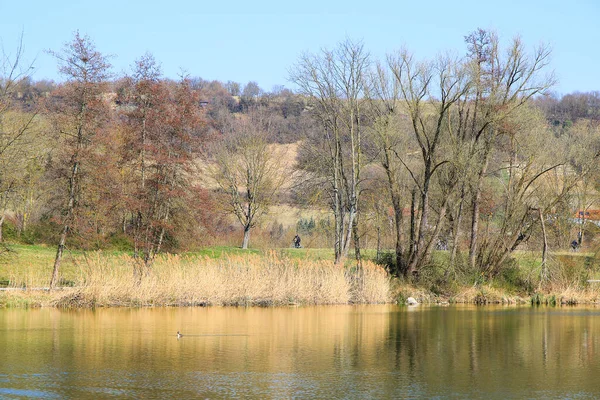 Regensburg Niemcy Marca 2022 Ludzie Jeżdżą Rowerem Wiejskiej Drodze Zachodzie — Zdjęcie stockowe