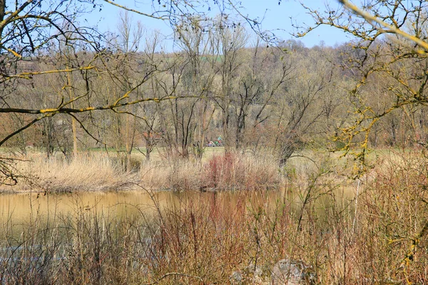 Regensburg Almanya Mart 2022 Nsanlar Gün Batımında Tuna Nehri Boyunca — Stok fotoğraf