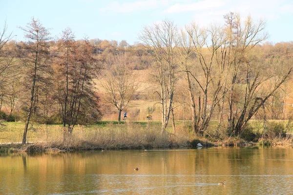 Regensburg Niemcy Ludzie Jeżdżą Rowerem Wiejskiej Drodze Zachodzie Słońca Wzdłuż — Zdjęcie stockowe