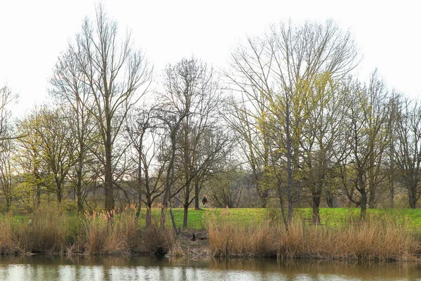 Regensburg Alemanha Pessoas Estão Andando Bicicleta Uma Estrada Rural Pôr — Fotografia de Stock