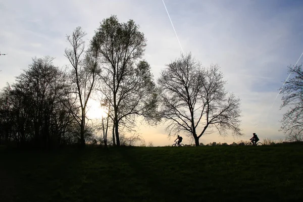 Regensburg Duitsland Silhouet Van Fietsers Een Landelijk Weggetje Bij Zonsondergang — Stockfoto
