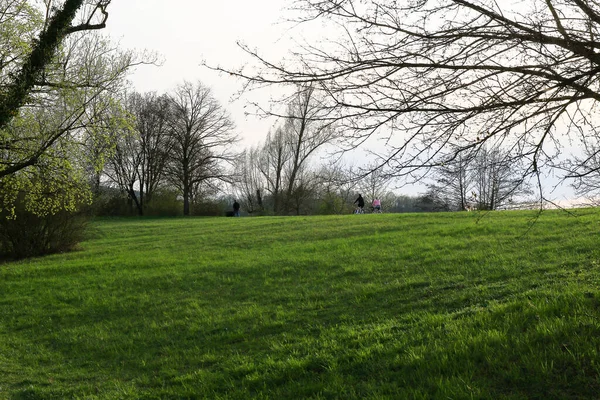 Regensburg, Almanya: Regensburg, Almanya ve Avrupa 'da Tuna Nehri boyunca gün batımında kırsal bir yolda bisiklet süren insanların silueti.