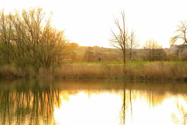 Ratisbona Alemania Gente Está Montando Bicicleta Una Carretera Rural Atardecer — Foto de Stock