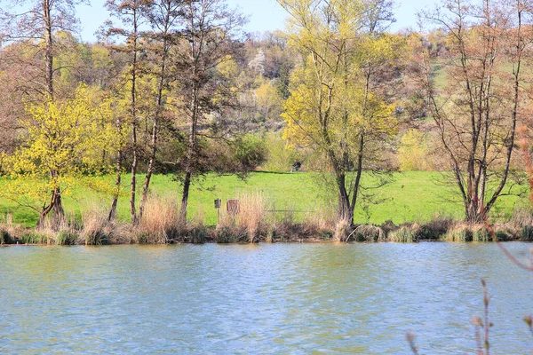 Regensburg Duitsland April 2022 Mensen Fietsen Een Landelijk Weggetje Bij — Stockfoto