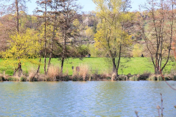 Regensburg Almanya Nisan 2022 Nsanlar Gün Batımında Tuna Nehri Boyunca — Stok fotoğraf