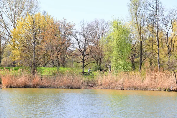 Regensburg Niemcy Ludzie Jeżdżą Rowerem Wiejskiej Drodze Zachodzie Słońca Wzdłuż — Zdjęcie stockowe