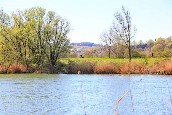 Regensburg Γερμανία Άνθρωποι Οδηγούν Ποδήλατο Ένα Αγροτικό Δρόμο Στο Ηλιοβασίλεμα — Φωτογραφία Αρχείου