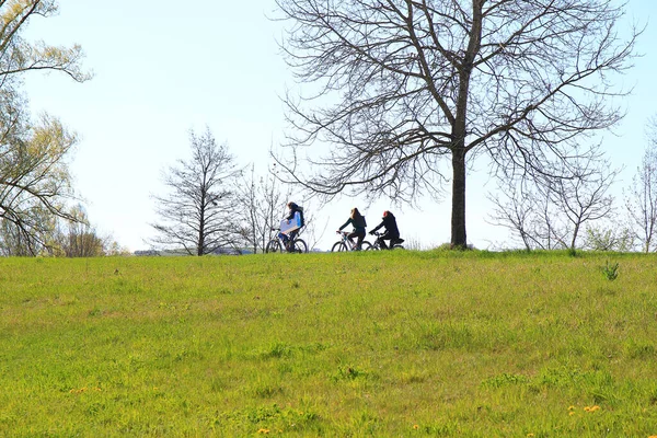 Regensburg Tyskland April 2022 Människor Rider Cykeln Landsväg Vid Solnedgången — Stockfoto