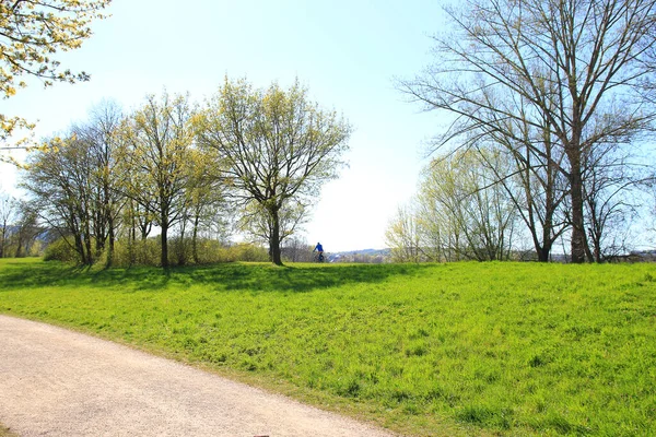 Regensburg Duitsland Mensen Fietsen Een Landelijke Weg Bij Zonsondergang Langs — Stockfoto