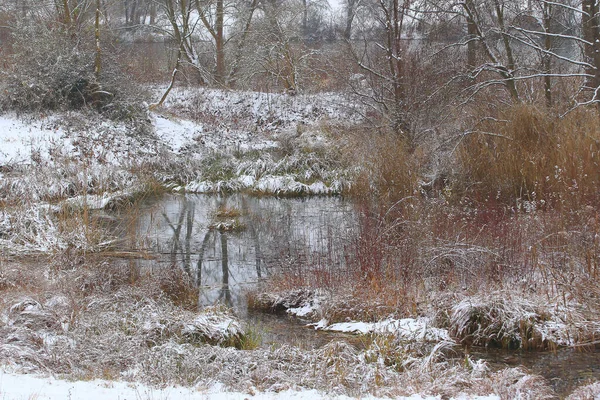 Regensburg Alemanha Neve Branca Galhos Uma Árvore Nua Dia Gelado — Fotografia de Stock