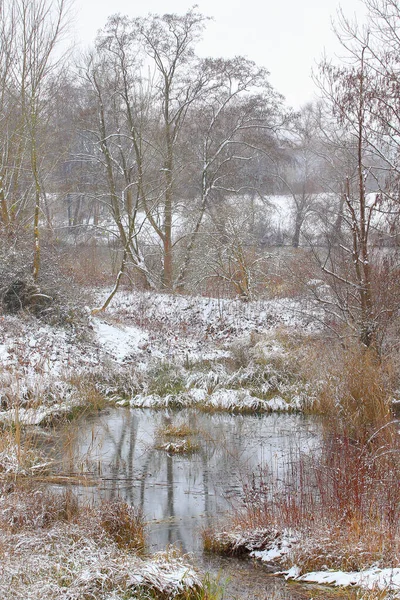 Regensburg Weißer Schnee Auf Kahlen Ästen Einem Frostigen Wintertag See — Stockfoto