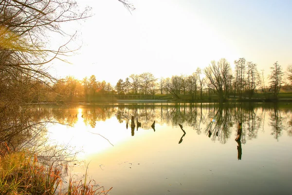 Regensburg, Almanya: Gölde Günbatımı Panoraması