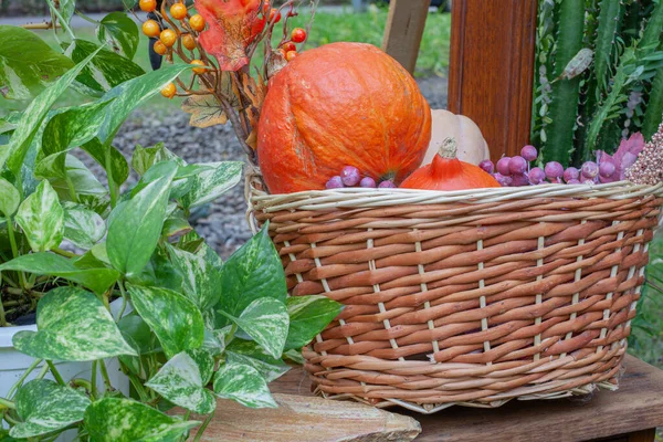 Pumpkin Berries Basket Halloween — Stock Photo, Image