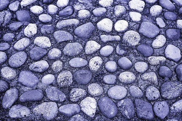 Piso de piedra, piedra de colores. Concepto - fondo de piedra, pared de diseño. Nuevo color 2022 muy peri lavanda —  Fotos de Stock