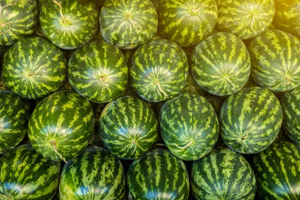 Lots Large Sweet Green Watermelons Uesd Background Texture — Stock Photo, Image