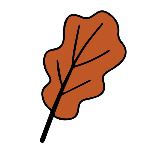 Oak Autumn Leaf Hello Autumn Hand Drawn Doodle Style Isolated — Stock vektor