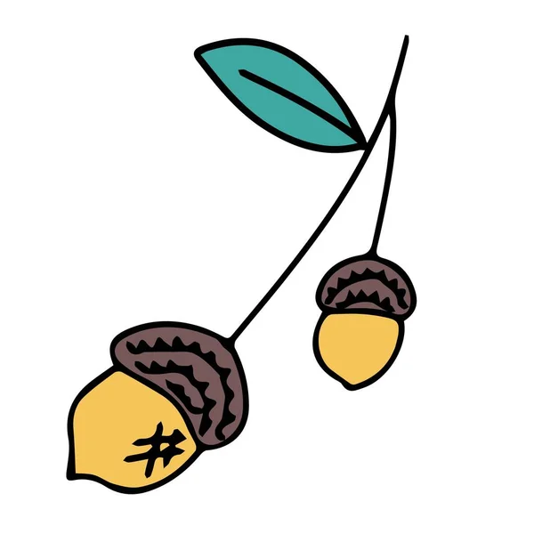 Oak Cone Doodle Style Hello Autumn Oak Fruits Seeds Design — Stock vektor