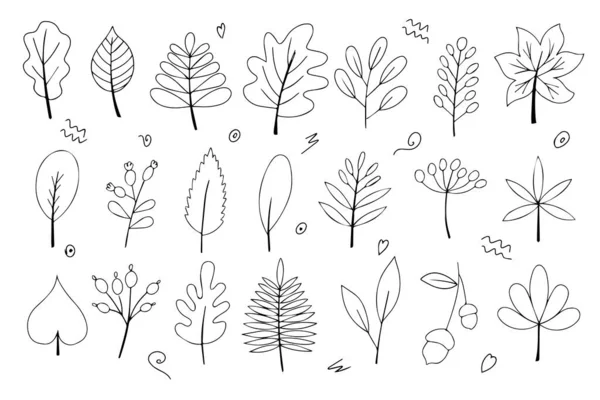 Набор Осенних Листьев Черно Белом Контуре Раскрашиваю Стиле Дудла Привет — стоковый вектор