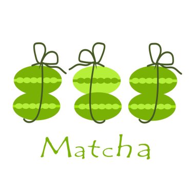Match. Green macarons cookies from matches. Plant for cooking ingredients, baking and tea. Vector illustration.