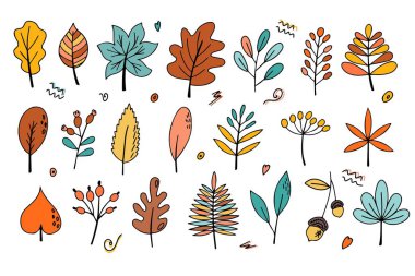 Set of autumn leaves in doodle style. Hello, Autumn. Isolated illustration Vector.