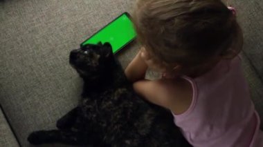 Kedili bir çocuk telefona bakar. Cep telefonu çocukların elindedir. Krom yeşil ekran. Omzunun üstünden bak. Çocukların internet içeriğine bak. Video.