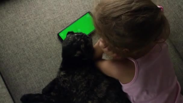 고양이가 아이가 전화를 봅니다 아이들 녹색으로 표시되었습니다 너머를 아이들의 인터넷 — 비디오