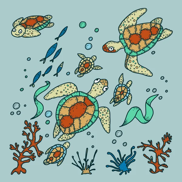 Meeresschildkröten Handgezeichnete Doodle Illustration Marina Leben — Stockvektor