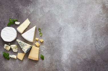 Beton zemin üzerinde çeşitli peynir türleri, üst görünüm.