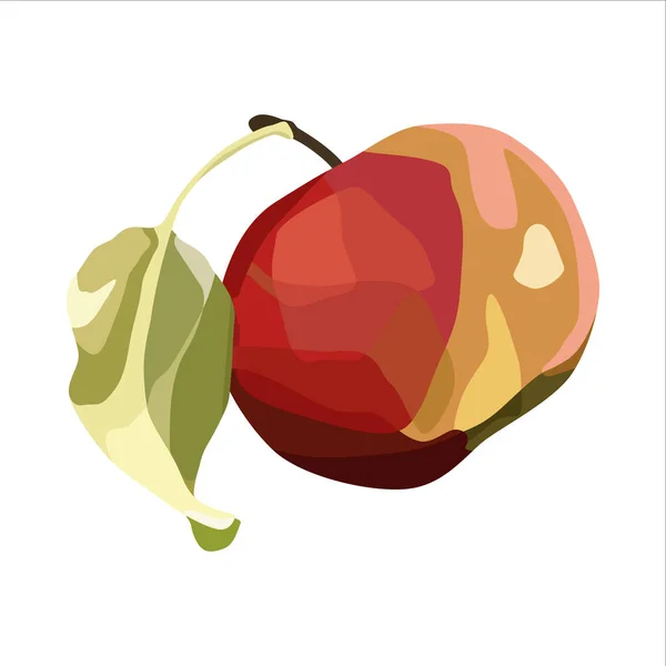 Vector manzana roja . — Archivo Imágenes Vectoriales